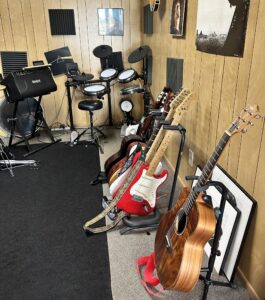 wavs custom, music, guitars, ear pieces for musicians